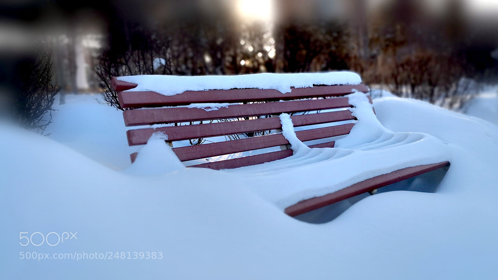 HUAWEI Mate 10 Pro sample photo. 雪后 photography