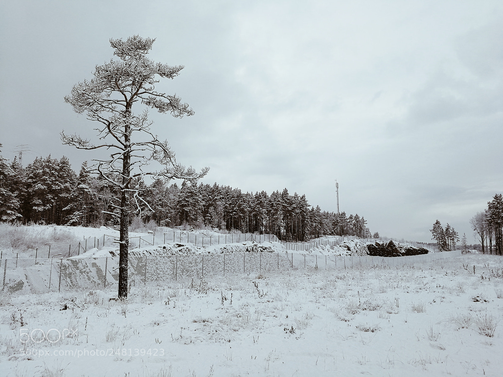 HUAWEI P10 sample photo. Swedish winter 2. photography