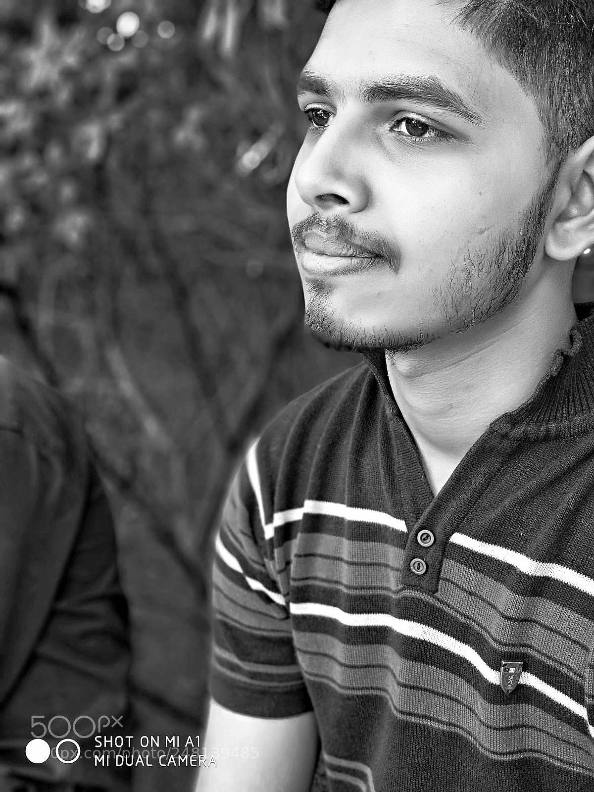 Xiaomi Mi A1 sample photo. First click photography