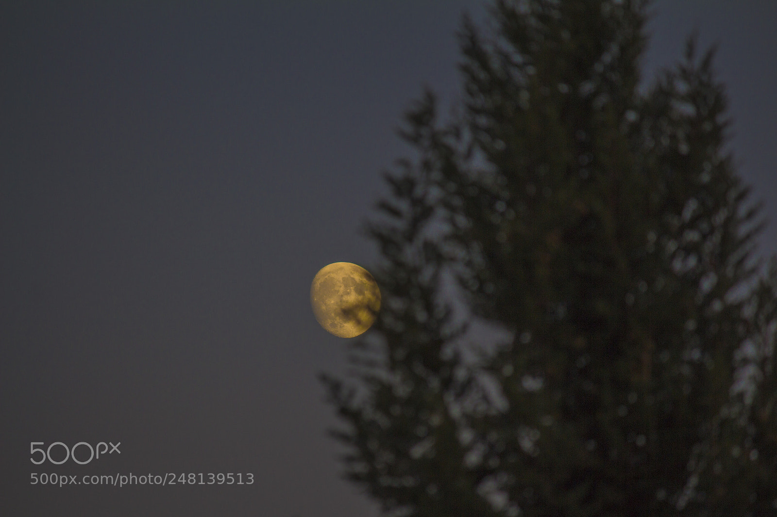 Canon EOS 650D (EOS Rebel T4i / EOS Kiss X6i) sample photo. Moon photography