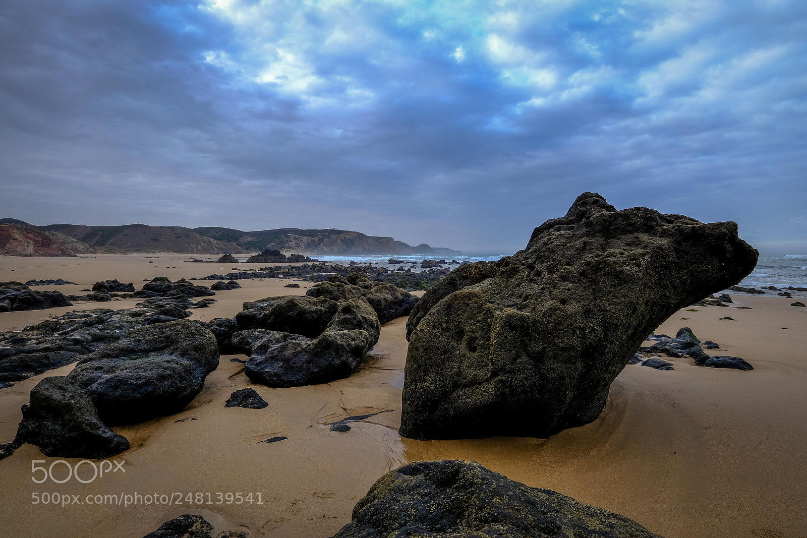 Fujifilm X-Pro2 sample photo. O animal na praia photography
