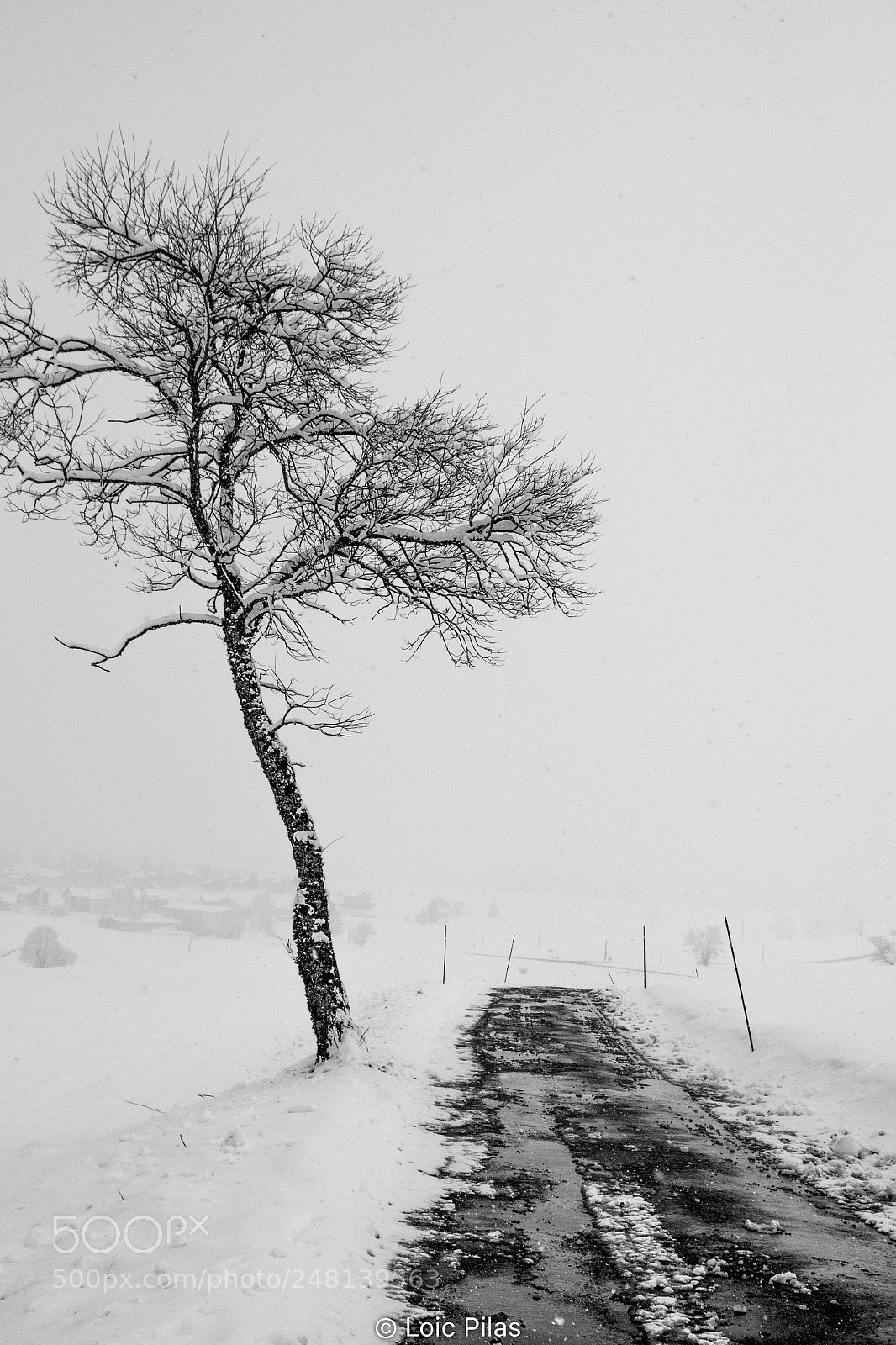 Canon EOS 60D sample photo. Hiver photography