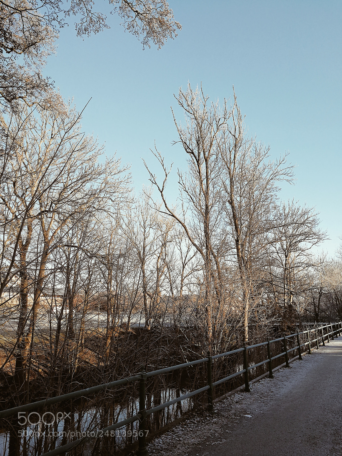 HUAWEI P10 sample photo. Swedish winter 3. photography