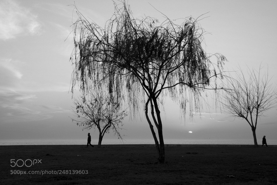 Samsung NX300 sample photo. ... photography