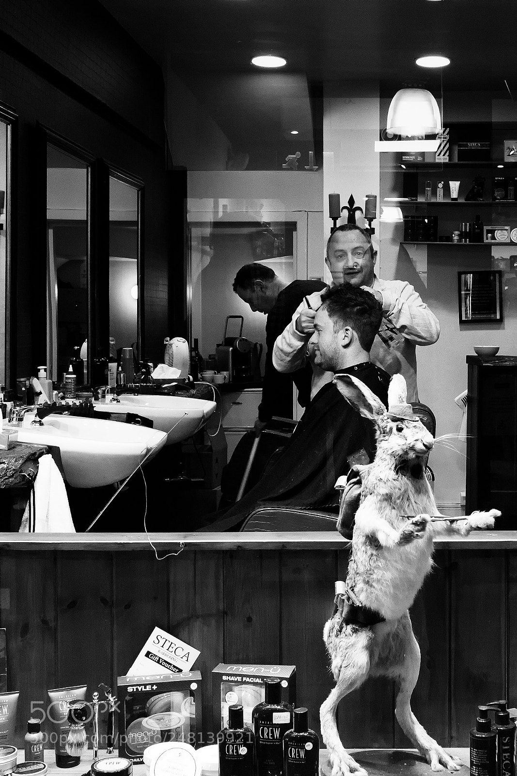 Fujifilm X100T sample photo. Bad hare day photography