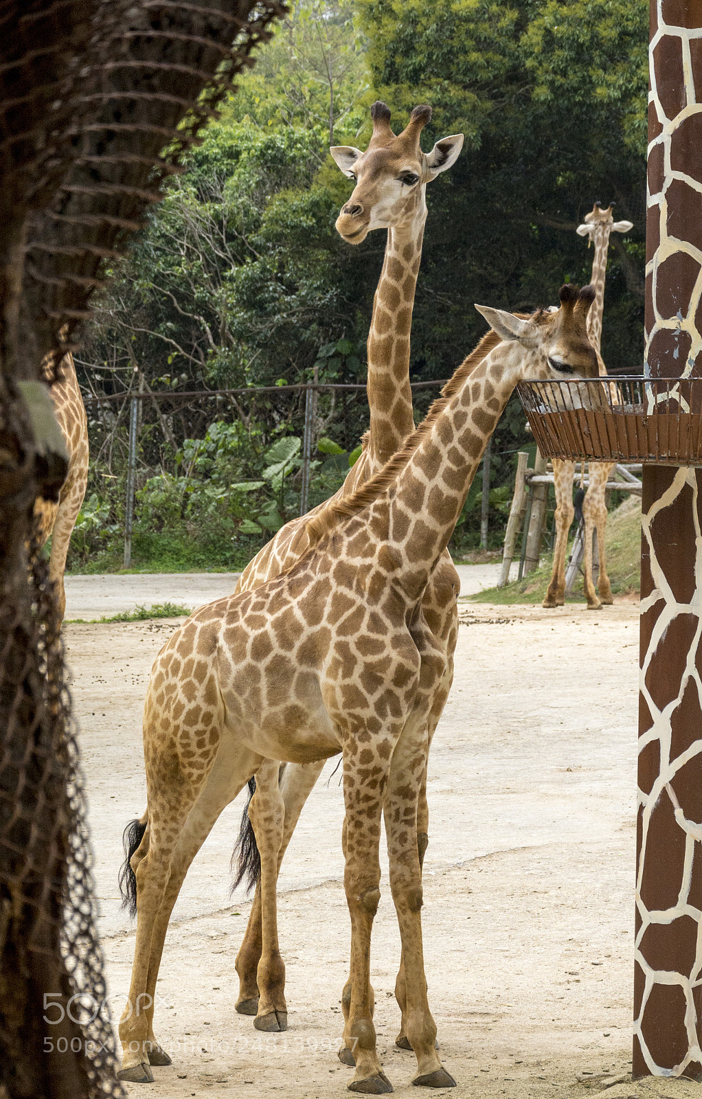 Nikon D7100 sample photo. Hey. dude. eat more photography