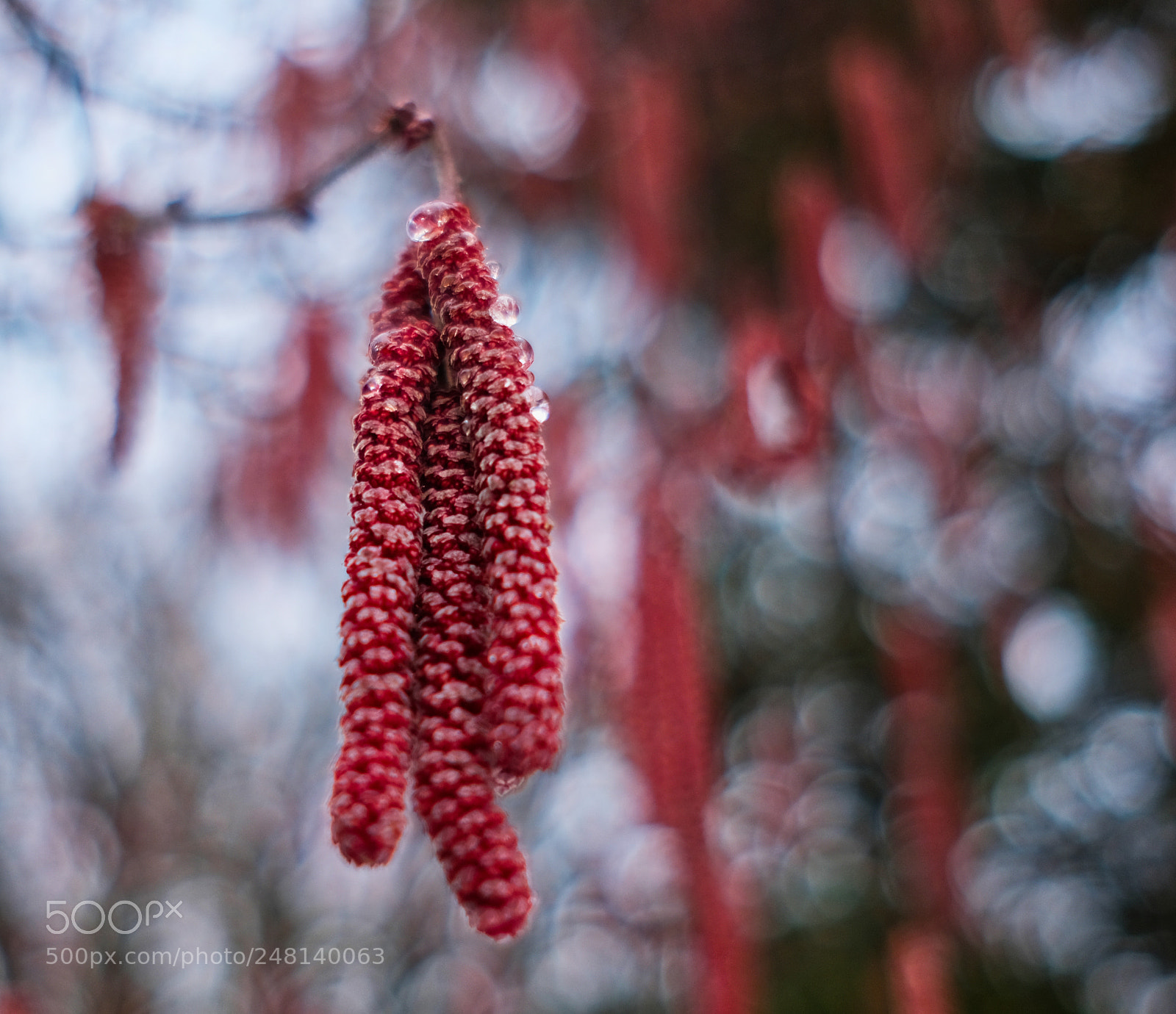 Fujifilm X-Pro2 sample photo. Abstract photography