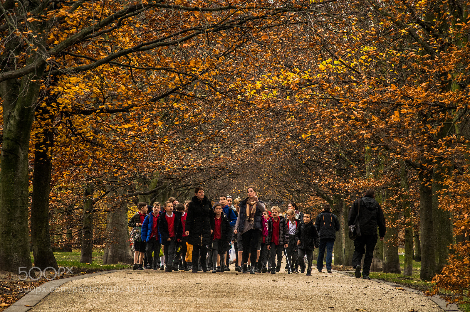 Nikon D5200 sample photo. Autumn walk photography