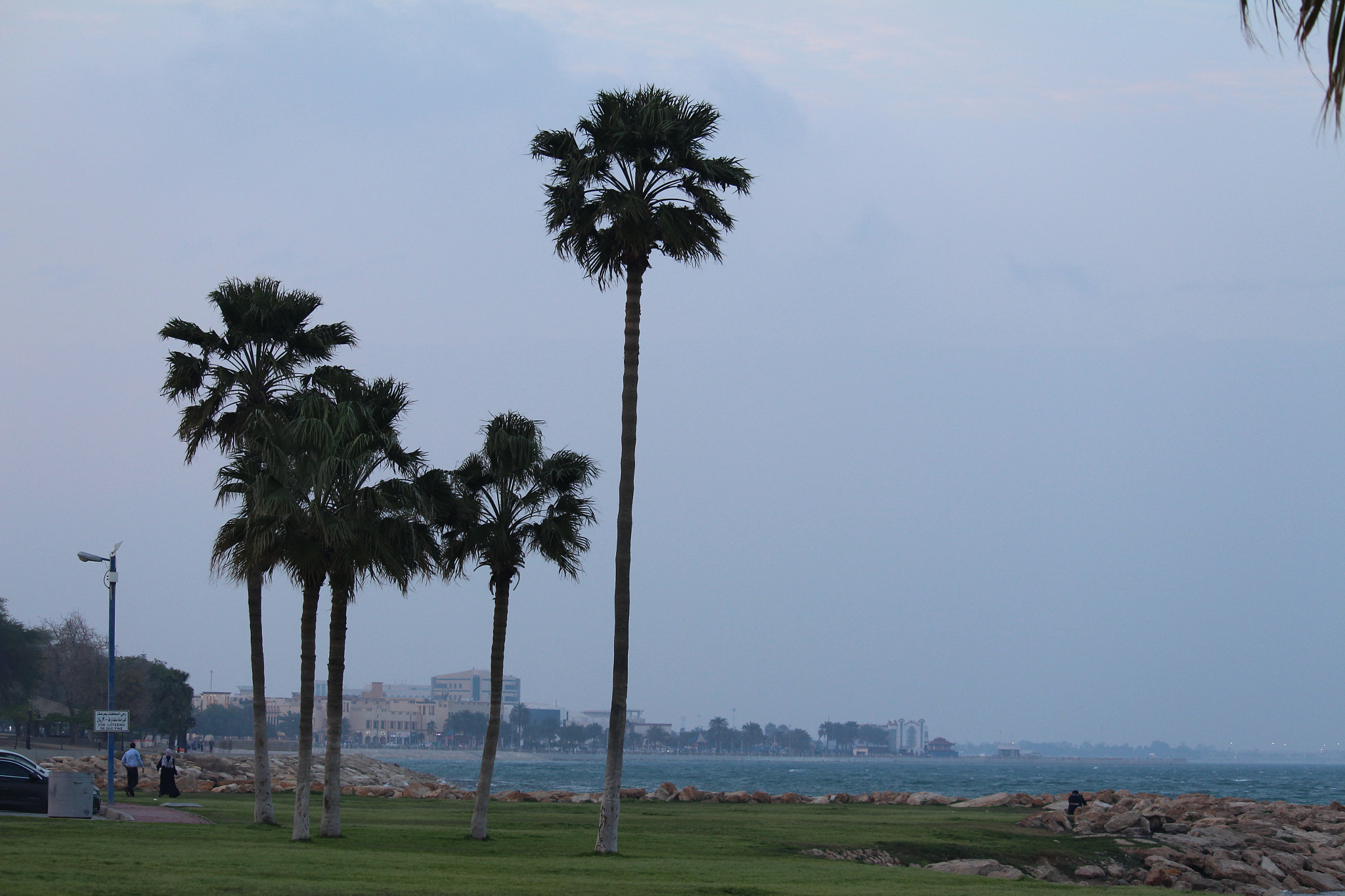 Canon EF-S 55-250mm F4-5.6 IS STM sample photo. Oasis photography