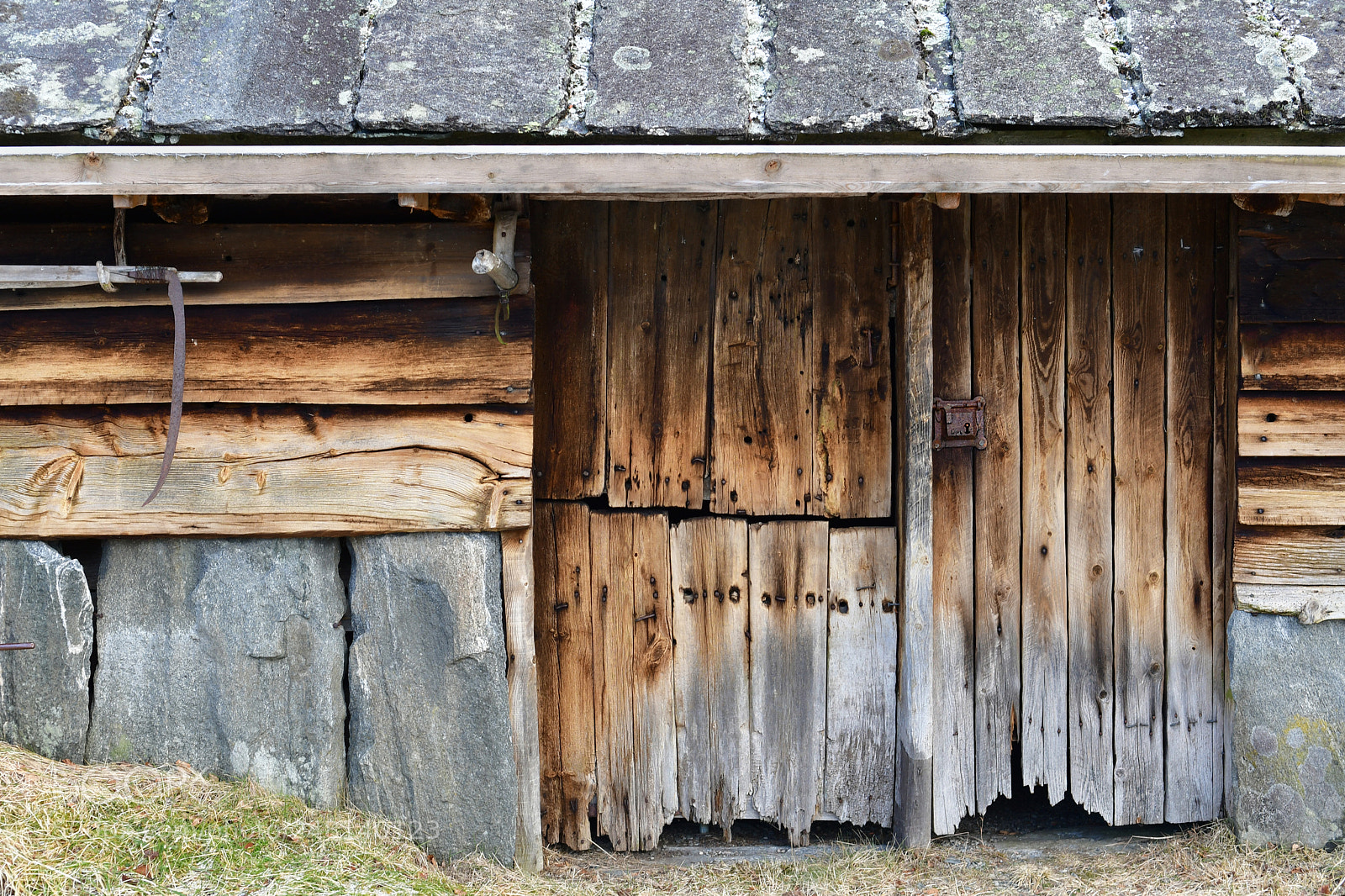 Nikon D500 sample photo. Old door photography