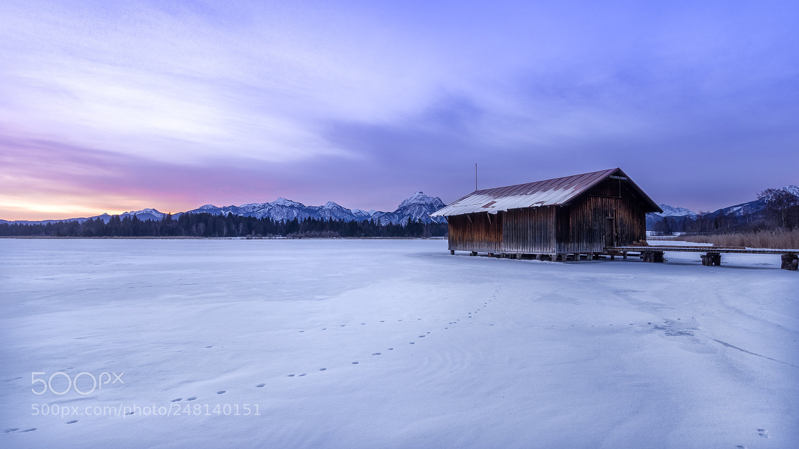 Sony SLT-A99V sample photo. Morning at the frozen photography