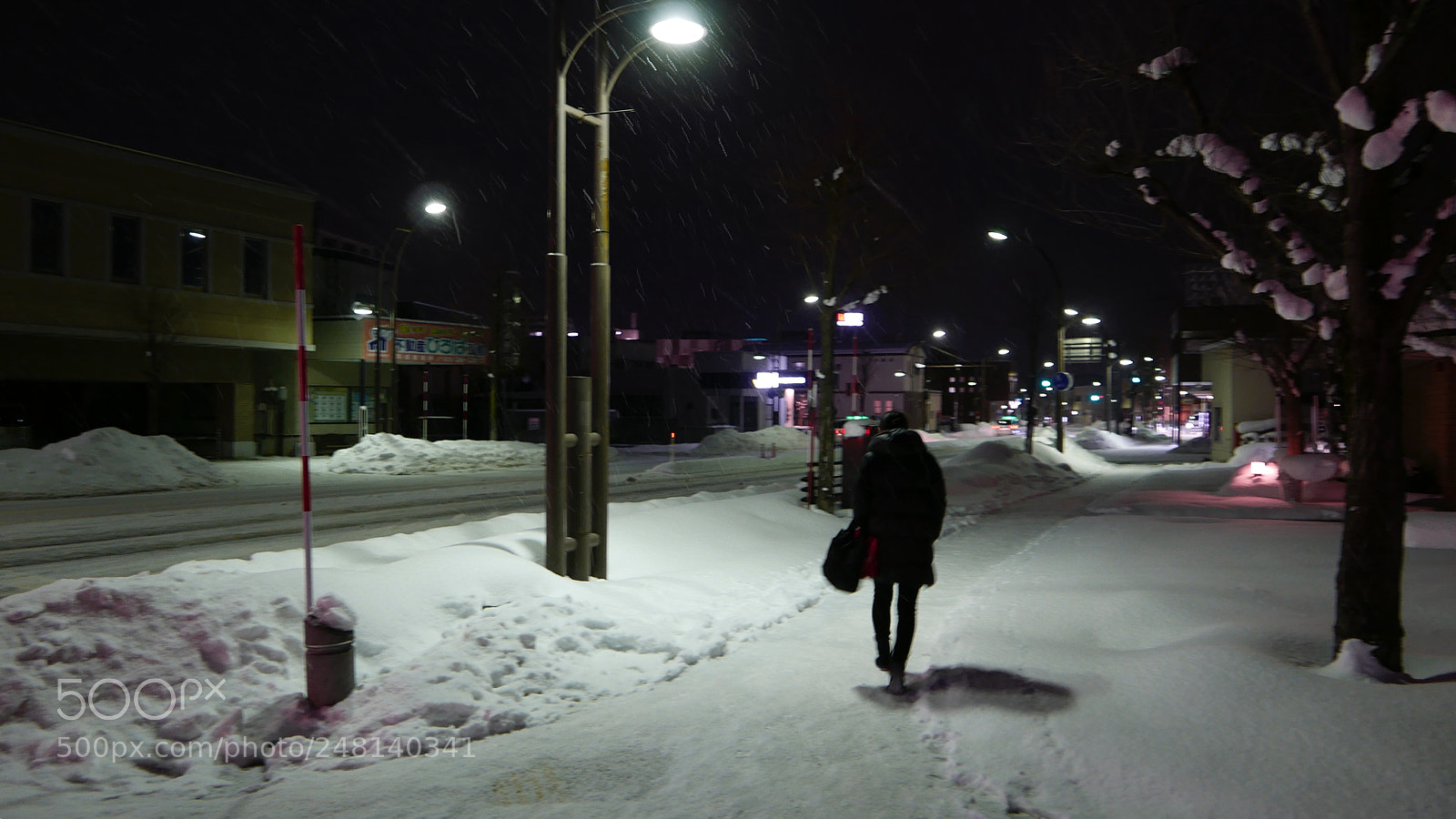 Leica D-Lux (Typ 109) sample photo. 雪夜。。。 photography