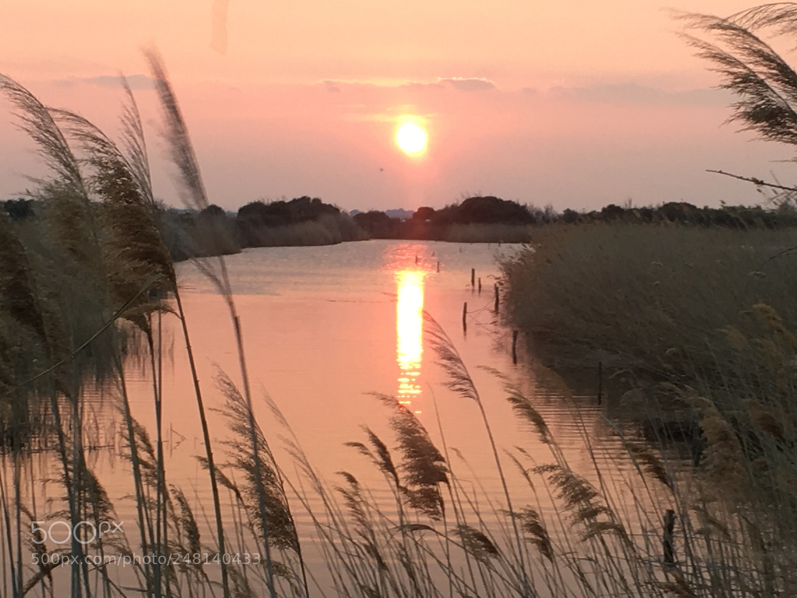Apple iPhone 6s sample photo. Wild sunrise photography
