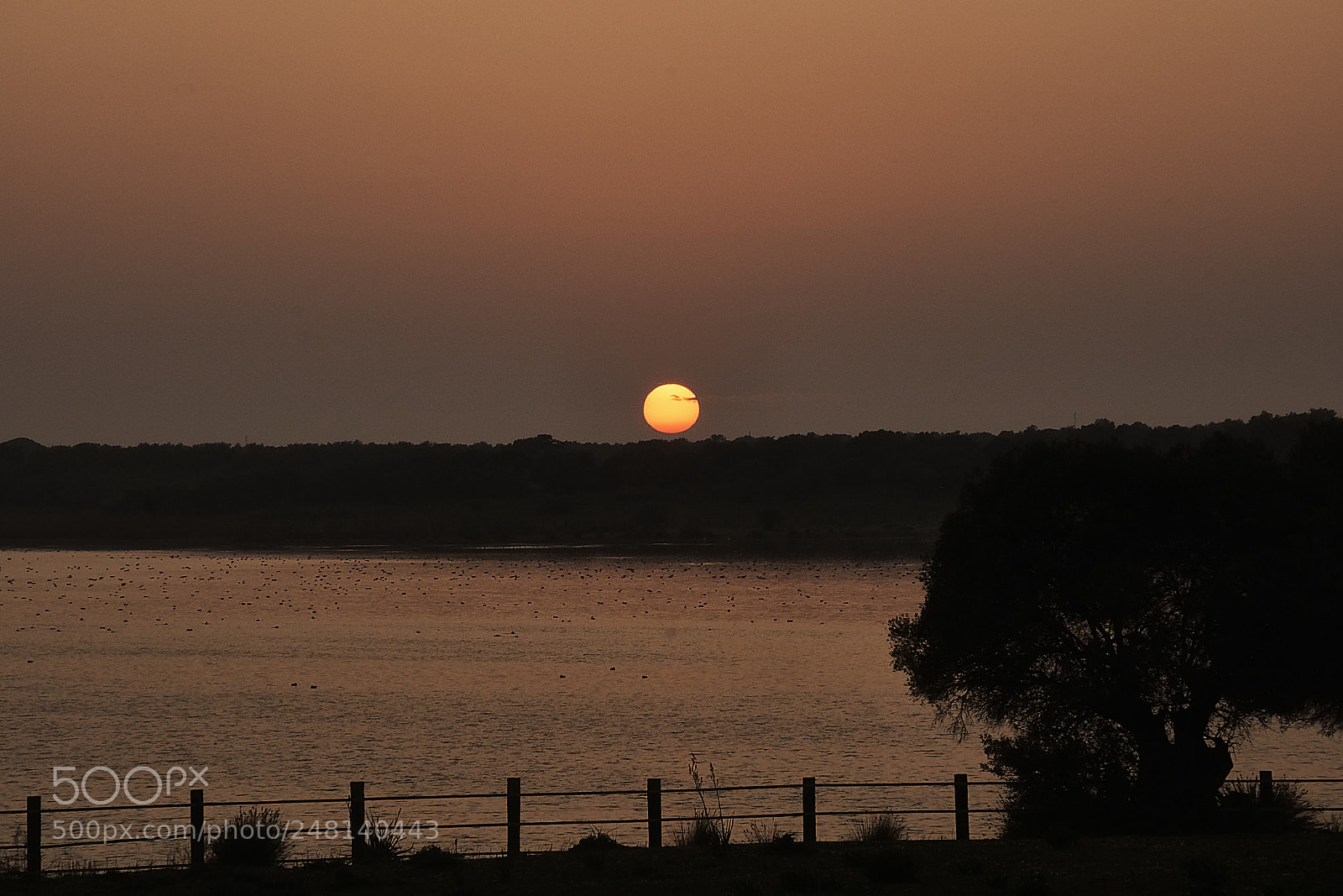 Sony ILCA-77M2 sample photo. Sunset photography