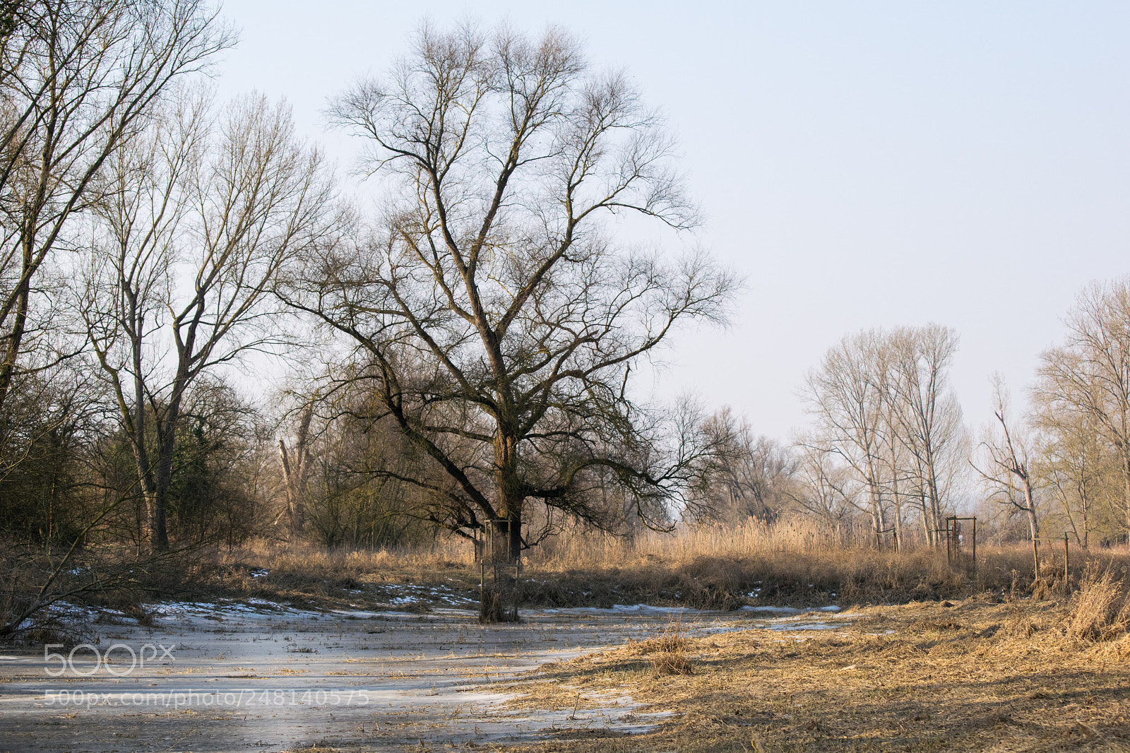 Nikon D5300 sample photo. Cold after the flood photography