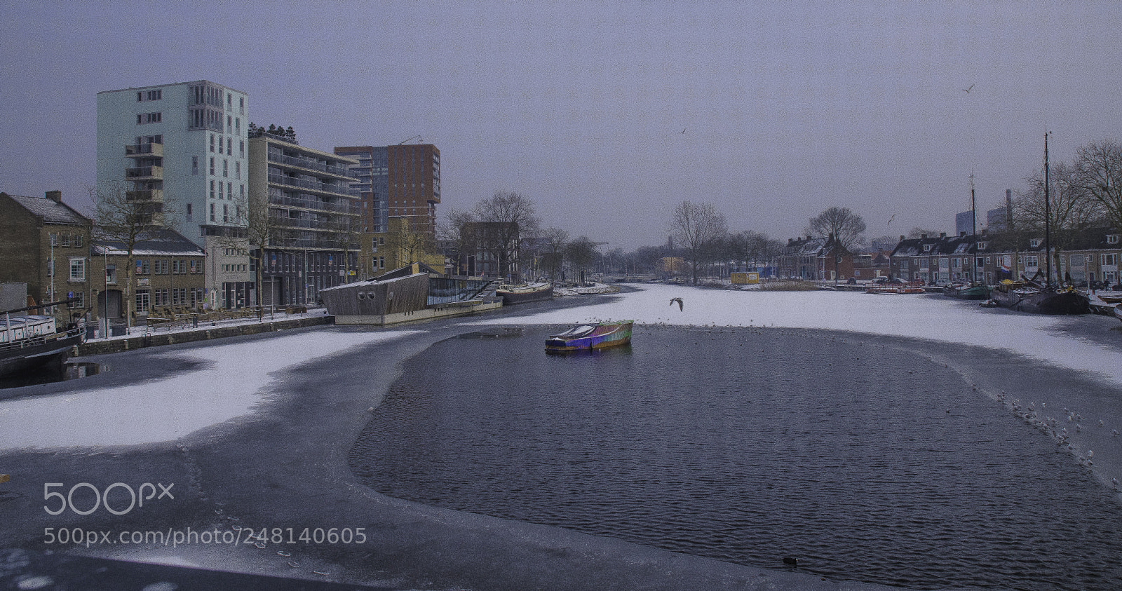 Nikon D500 sample photo. Winter in de piushaven photography