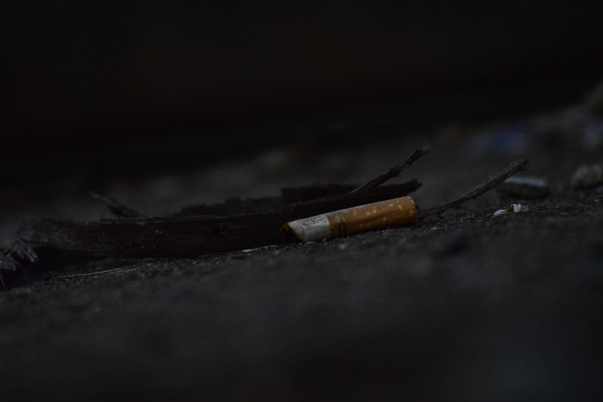 Nikon D5300 sample photo