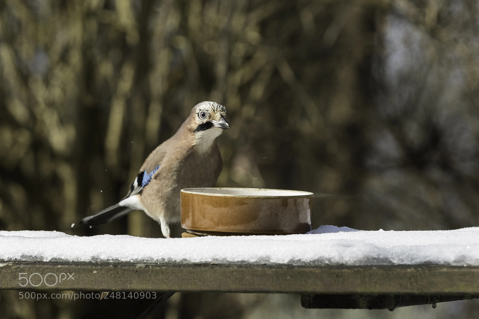 Canon EOS 7D Mark II sample photo. Lunch time photography