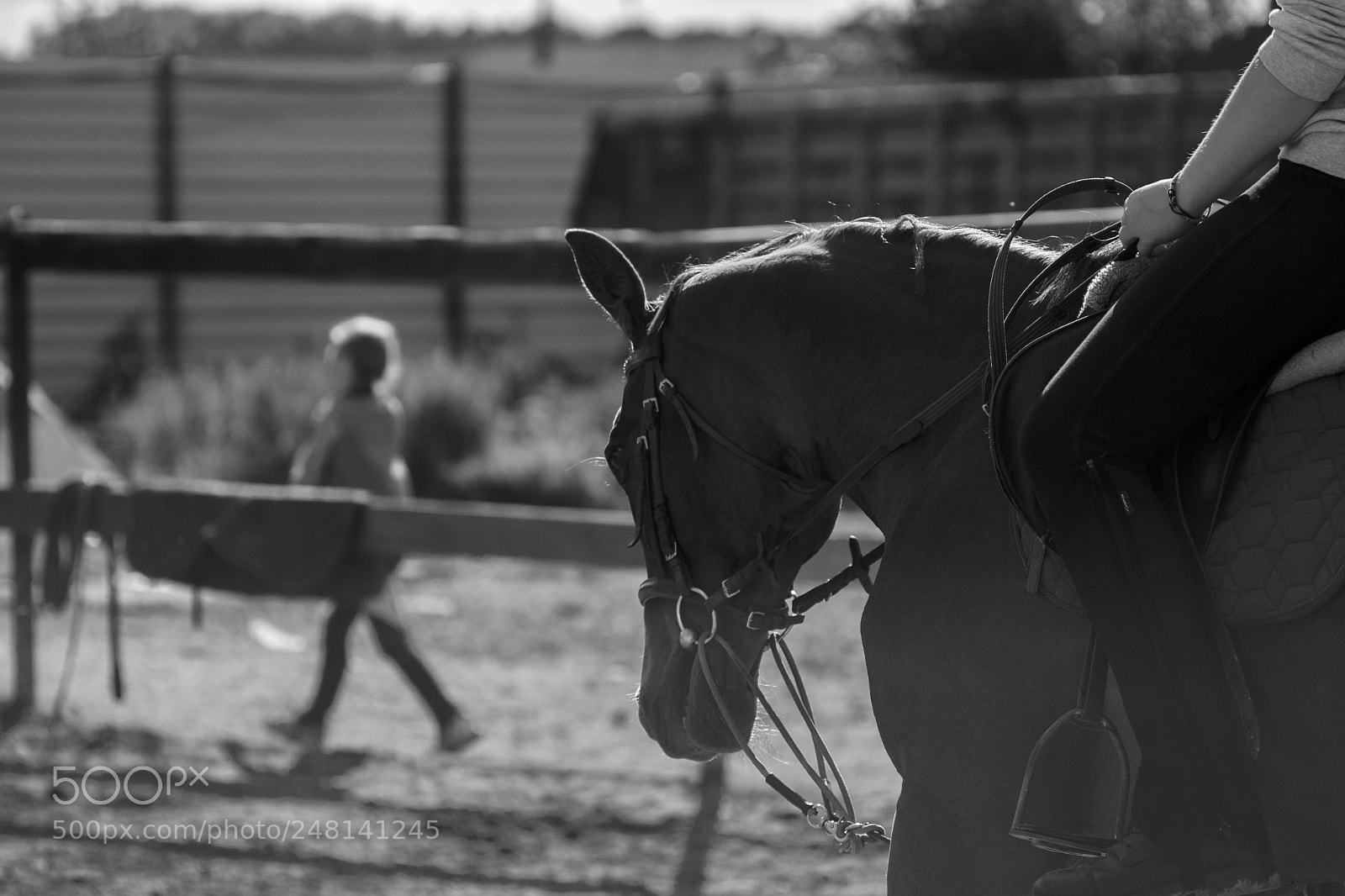 Canon EOS 650D (EOS Rebel T4i / EOS Kiss X6i) sample photo. Horseback riding photography