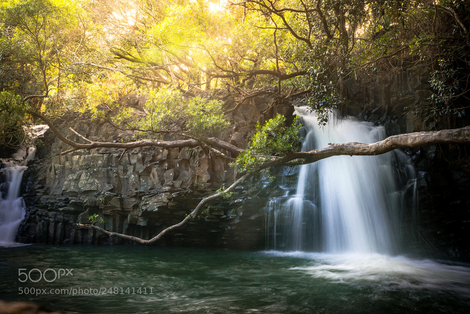 Sony a7R II sample photo. Jungle-falls photography