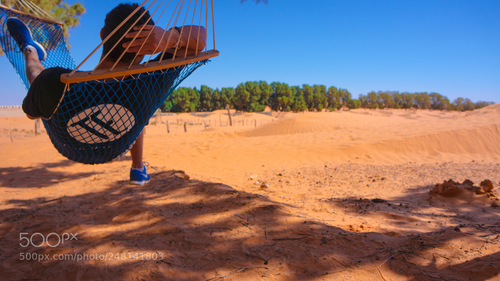 Sony Alpha NEX-5N sample photo. Chilling in the desert photography