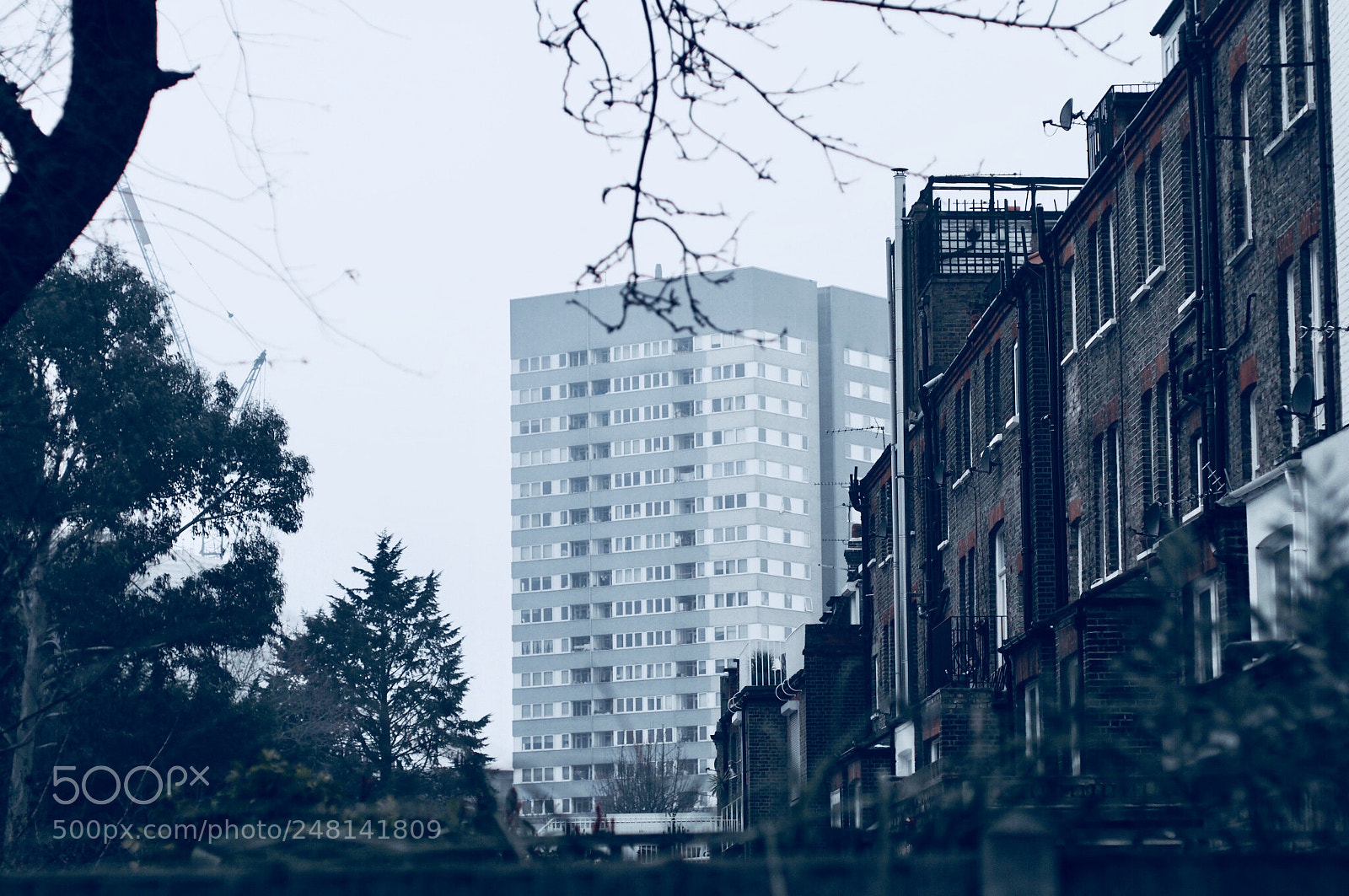 Olympus PEN-F sample photo. Back terrace photography