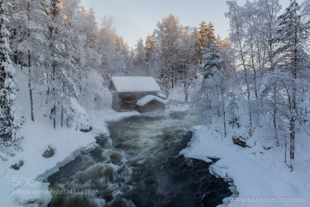 Nikon D610 sample photo. Myllykoski photography