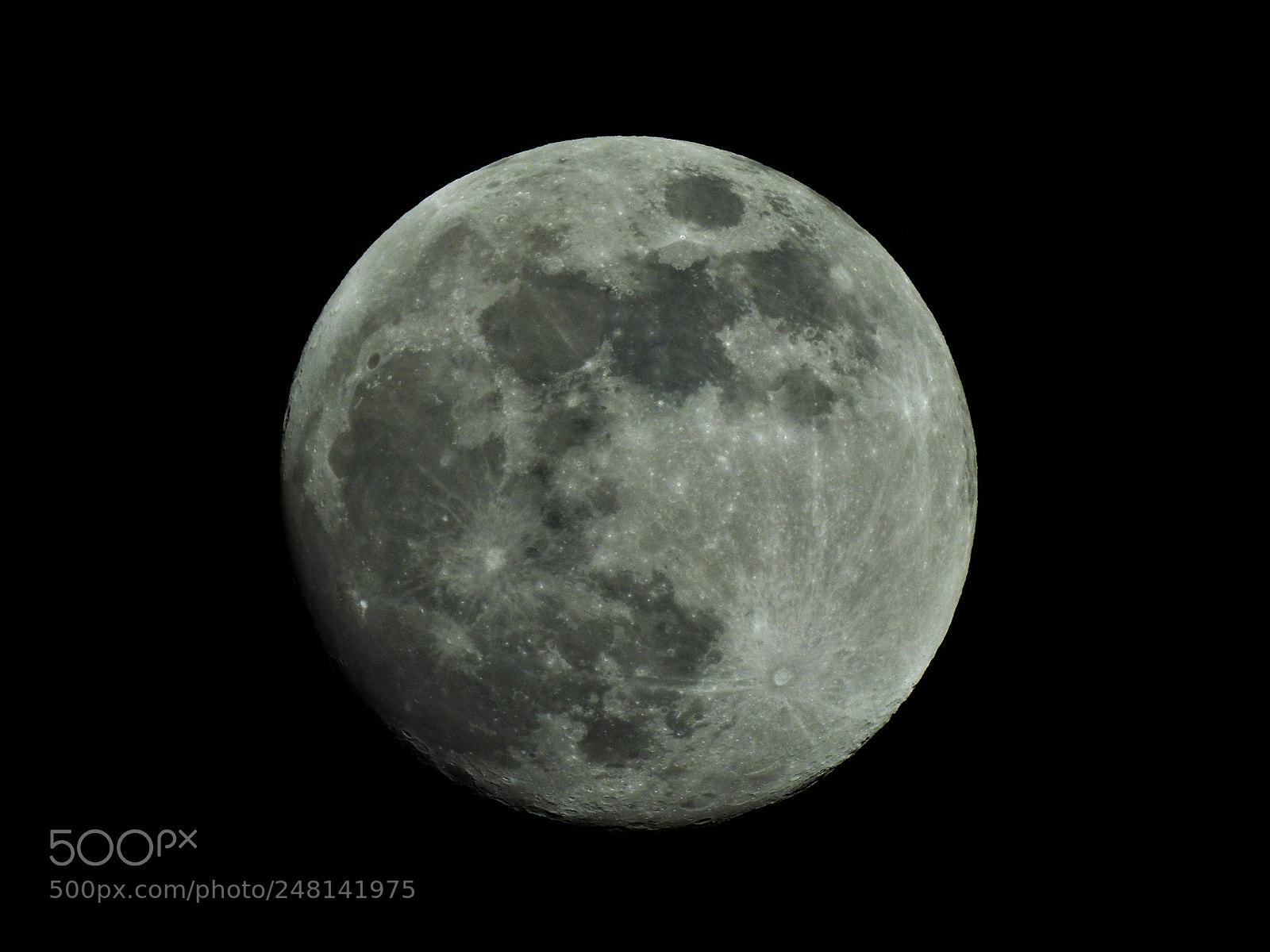 Nikon Coolpix P900 sample photo. Full moon photography