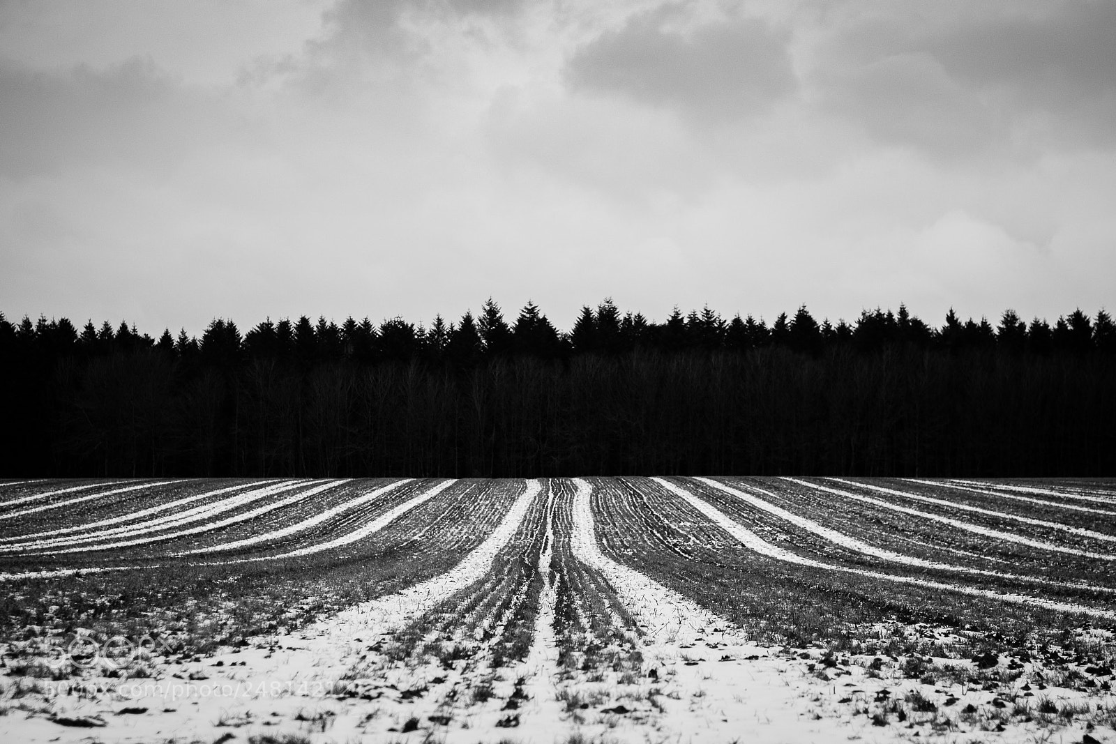 Nikon D500 sample photo. Freezing photography