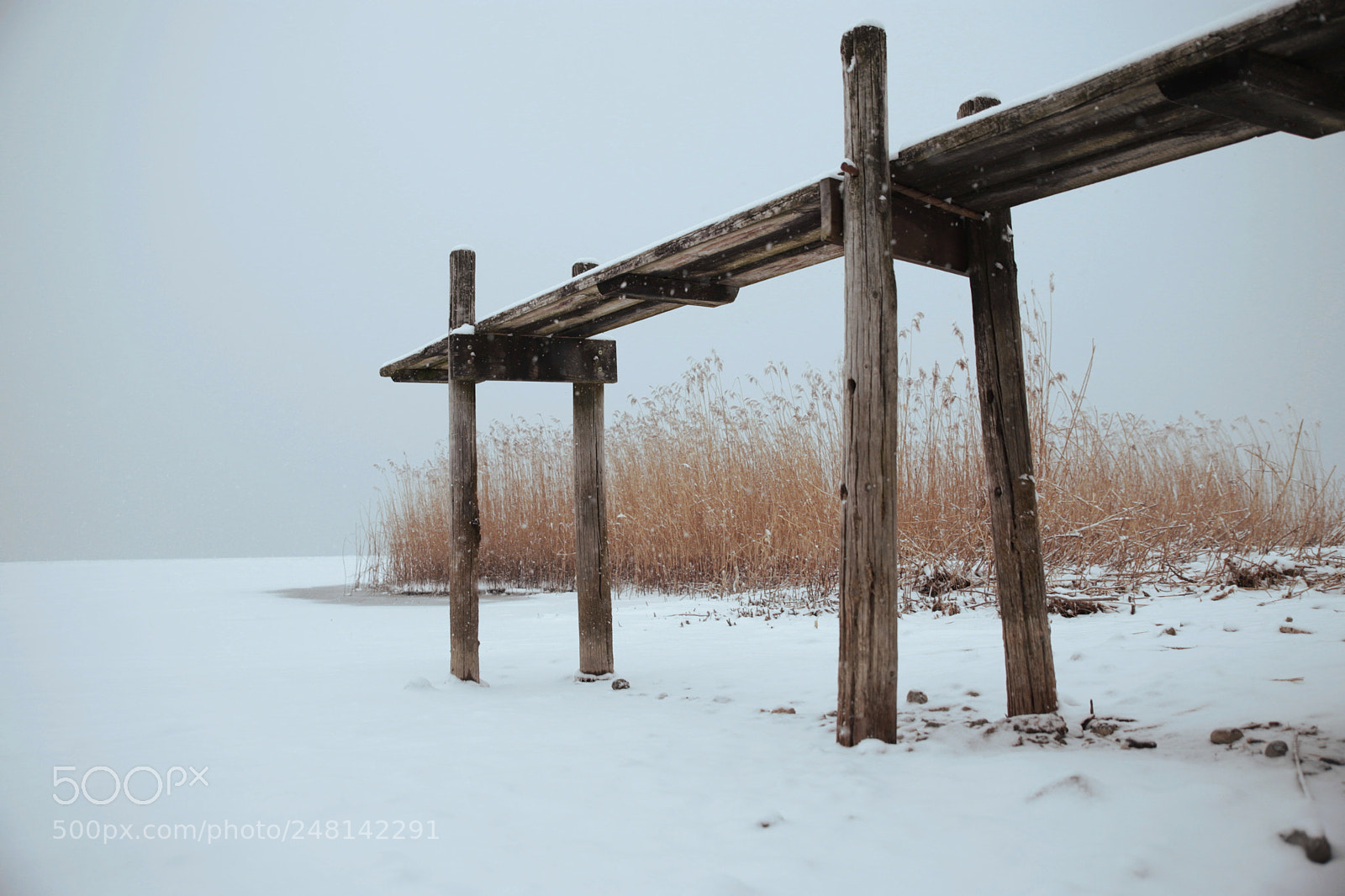 Canon EOS 6D Mark II sample photo. Waiting photography
