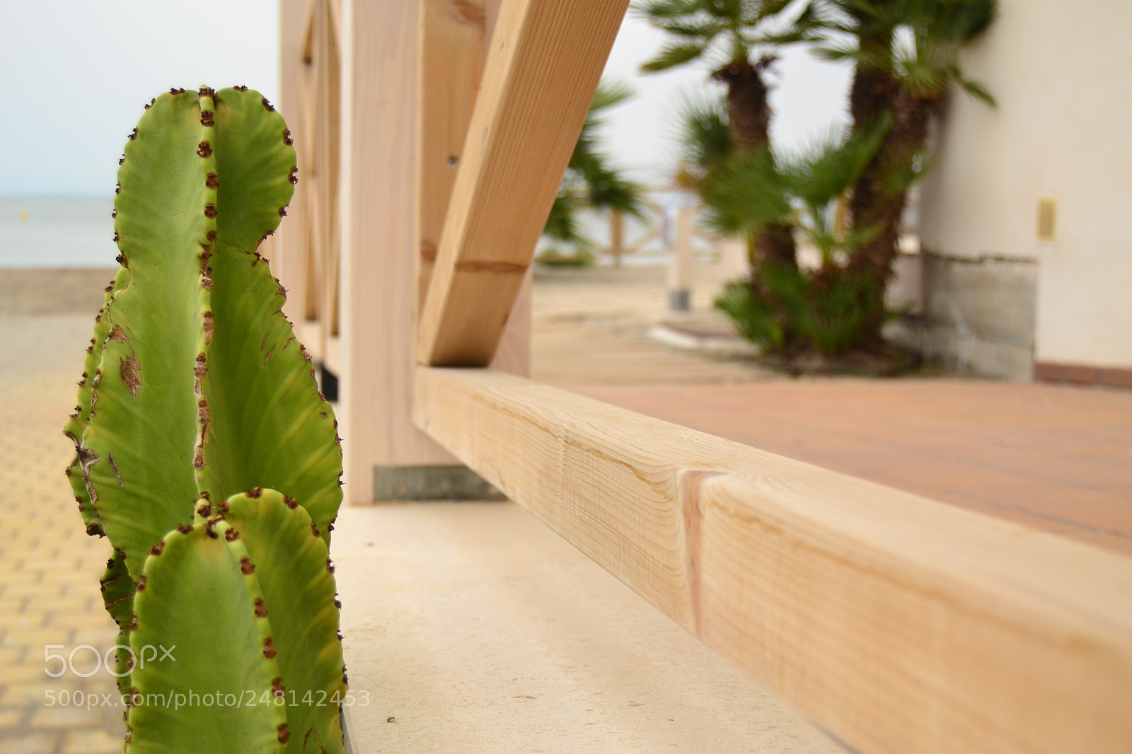 Nikon D3100 sample photo. Zen shui mar menor photography