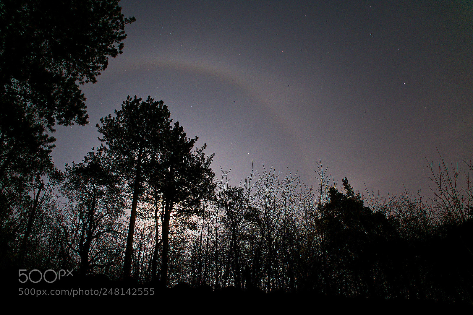 Nikon D810 sample photo. Moon halo photography