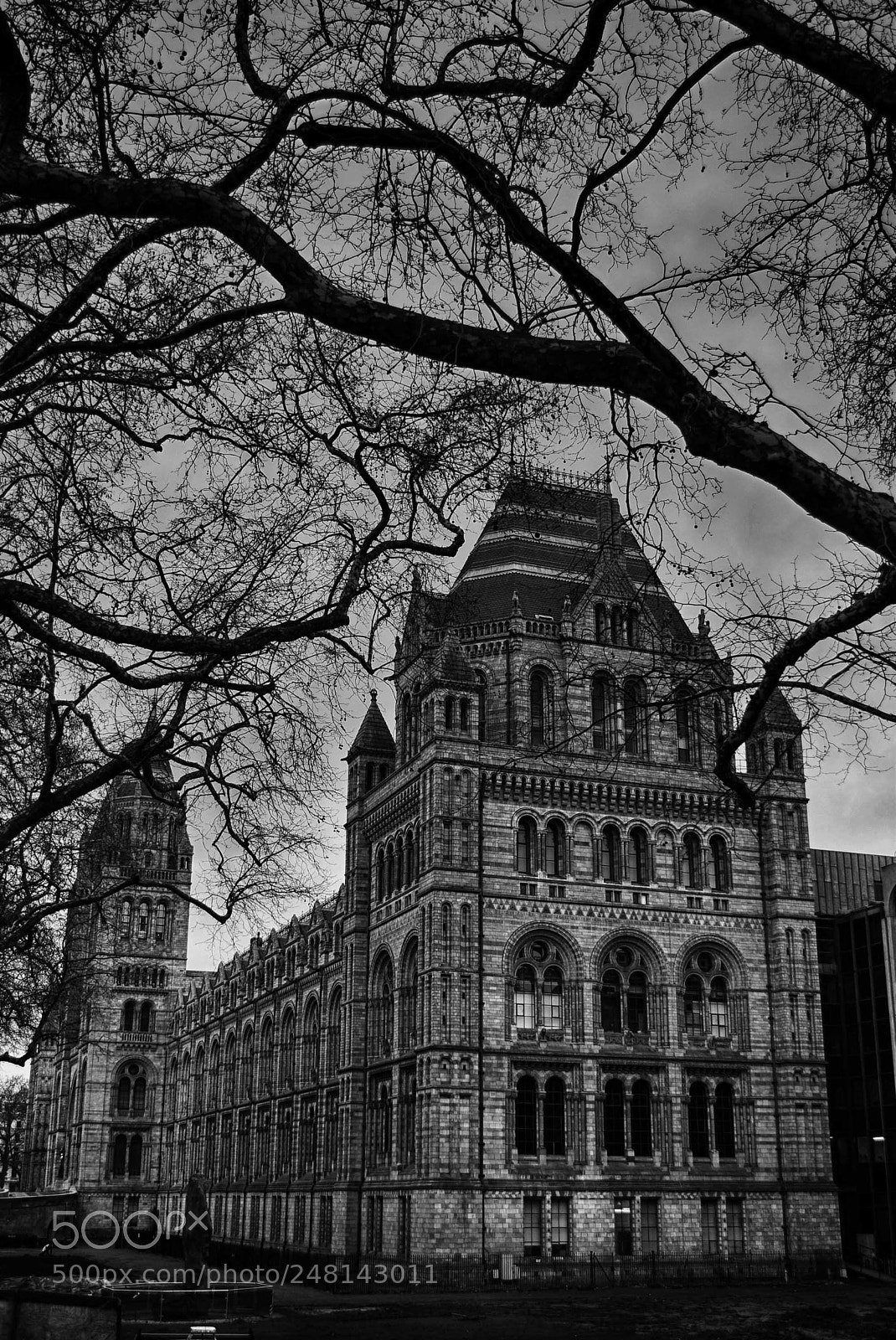 Nikon D5300 sample photo. Natural history museum photography