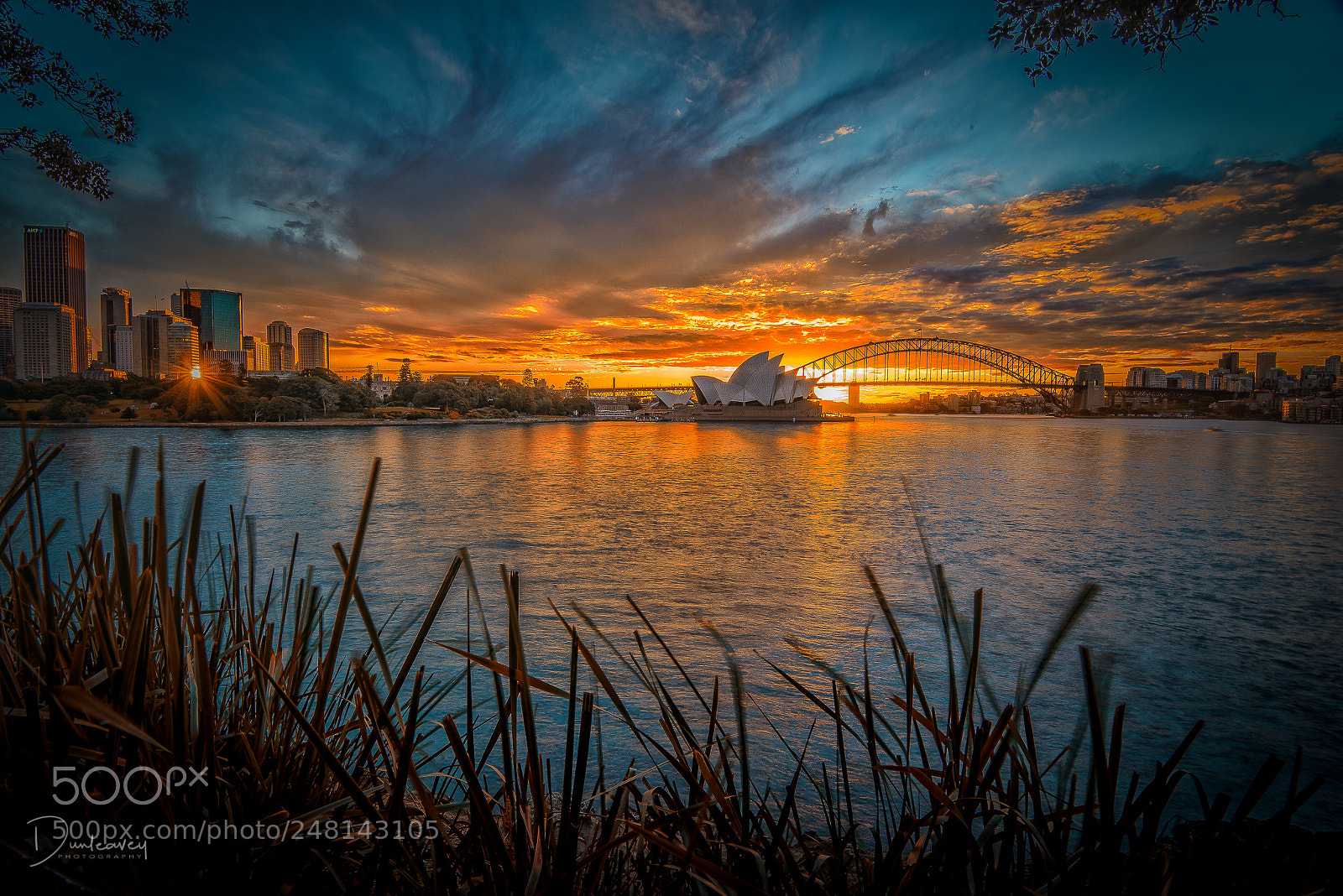 Nikon D810 sample photo. Sydney skyline at dusk photography