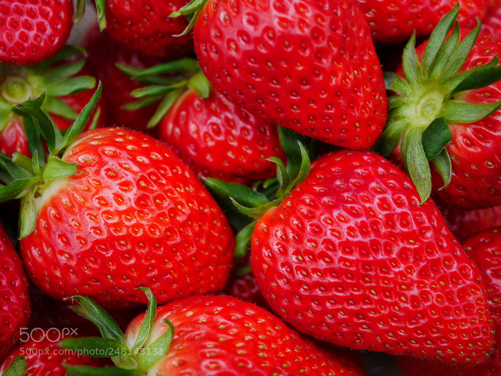 Panasonic Lumix DMC-GF7 sample photo. Sweet japanese strawberry photography