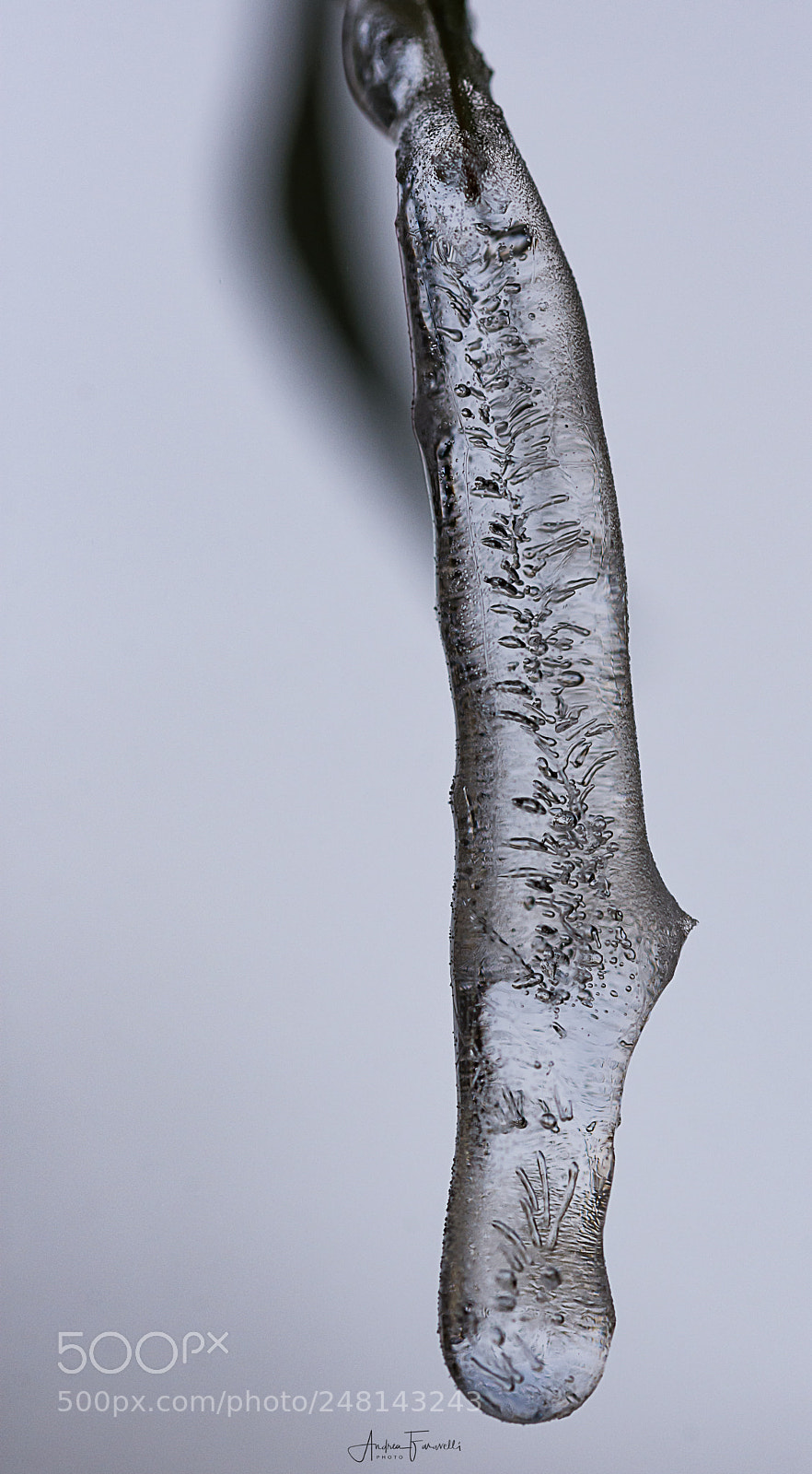 Nikon D7200 sample photo. Modifica photography