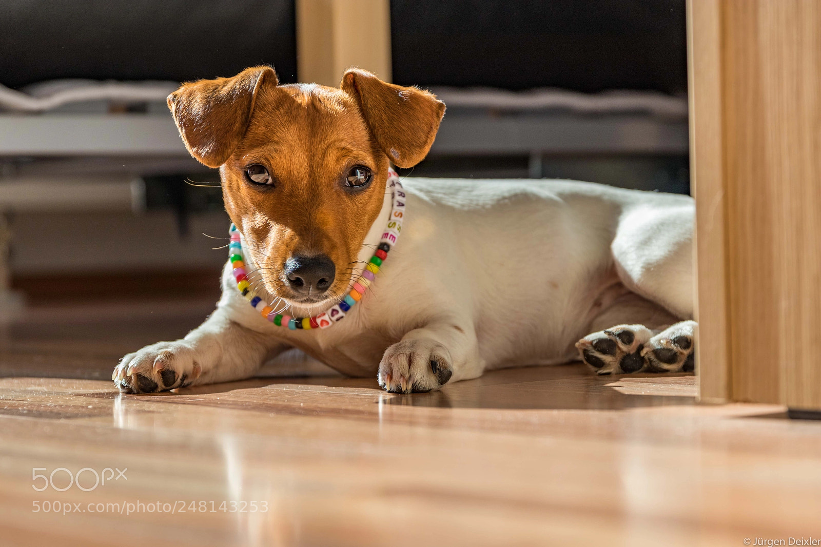 Canon EOS M5 sample photo. Aria 4 photography