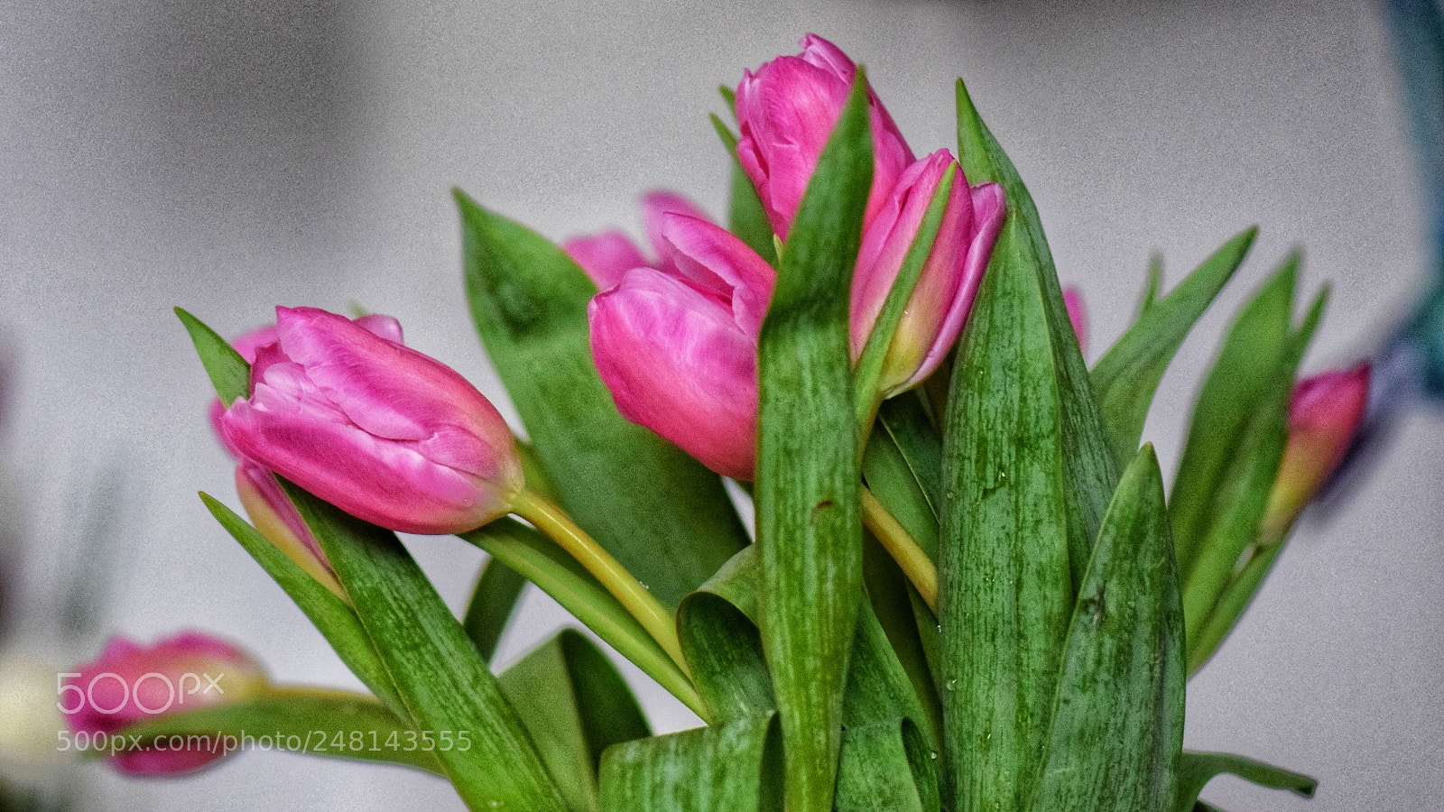 Nikon D5300 sample photo. Untitled photography