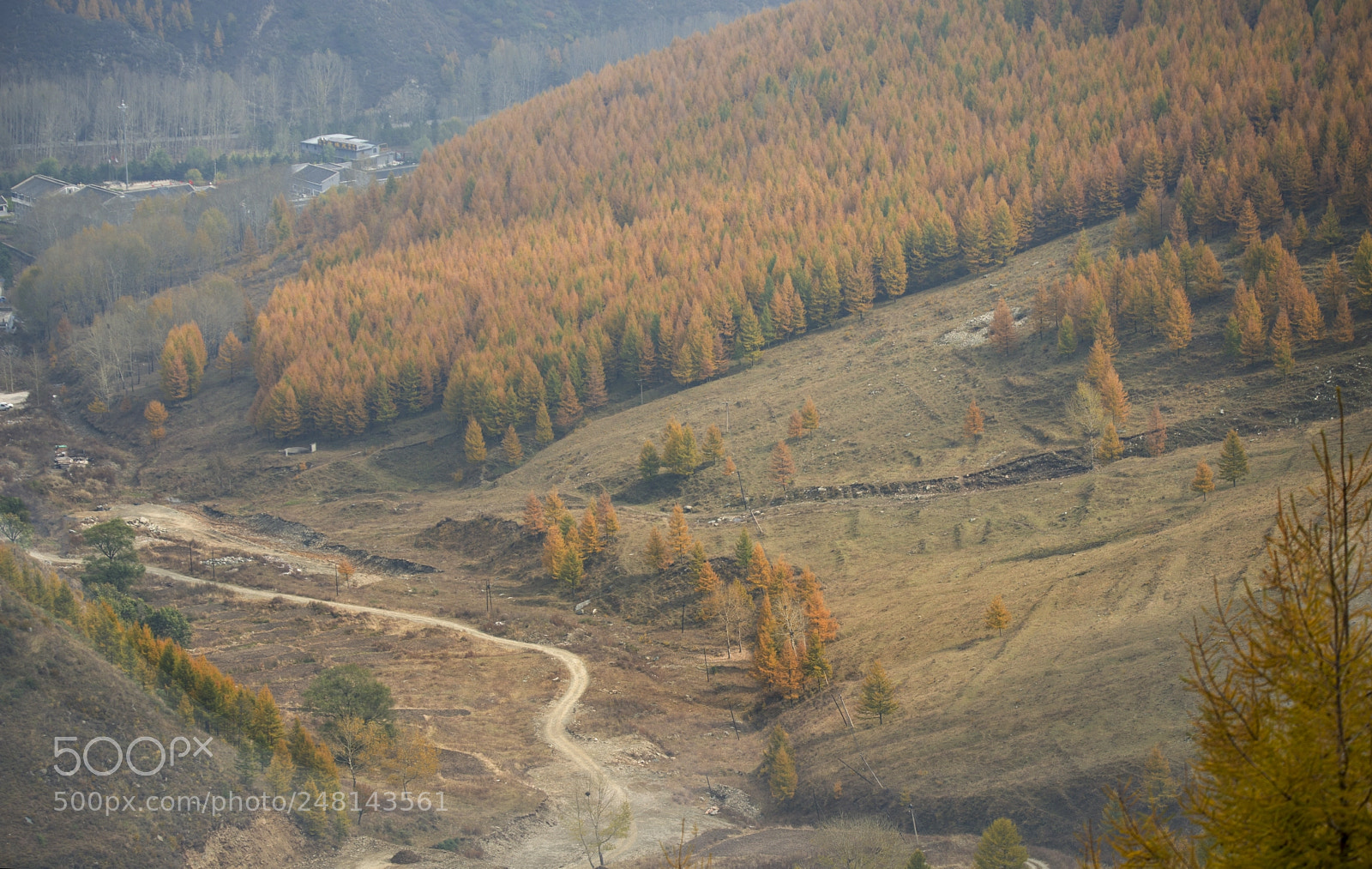 Nikon D800E sample photo. Untitled photography