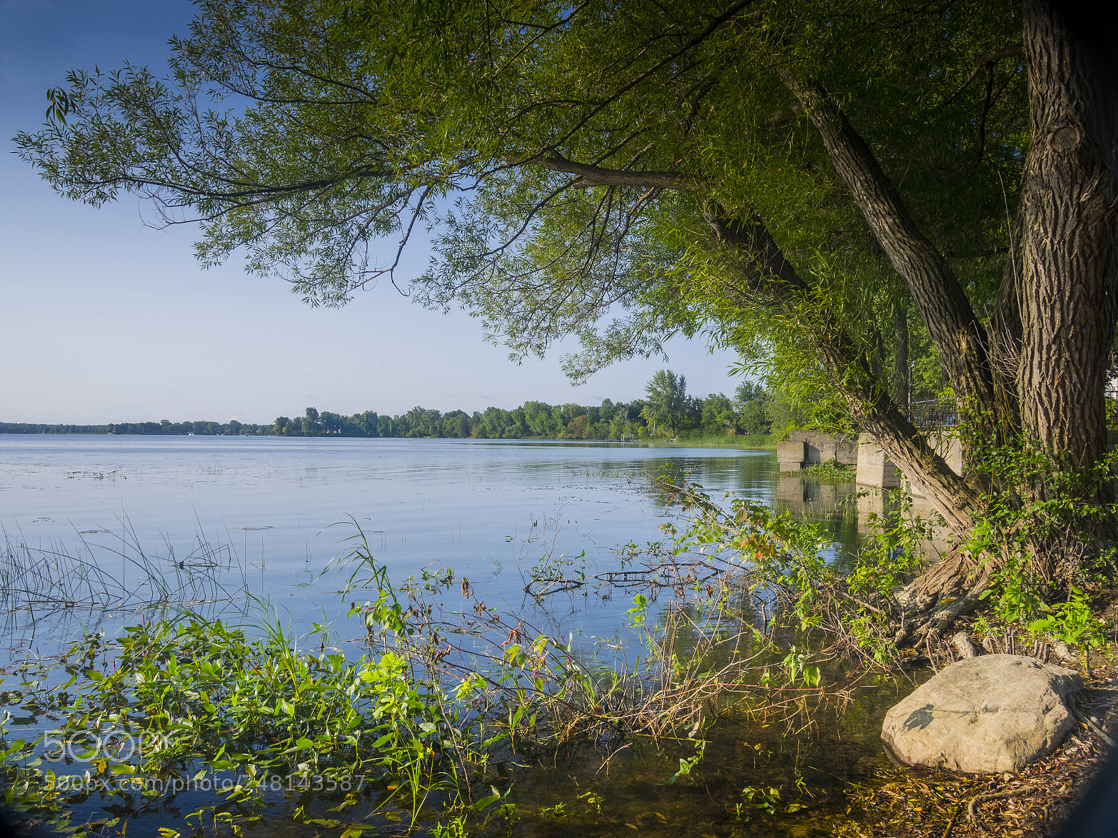 Olympus OM-D E-M1 sample photo. The river in the photography