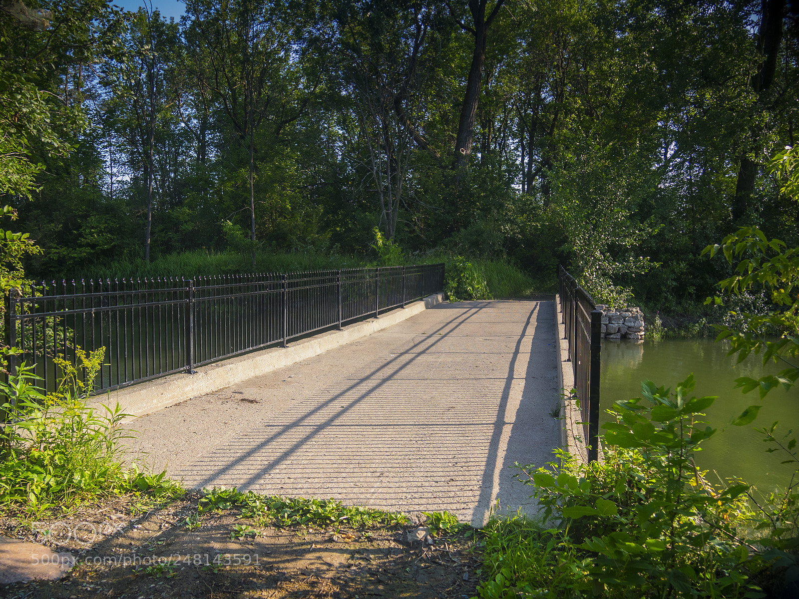 Olympus OM-D E-M1 sample photo. The river in the photography