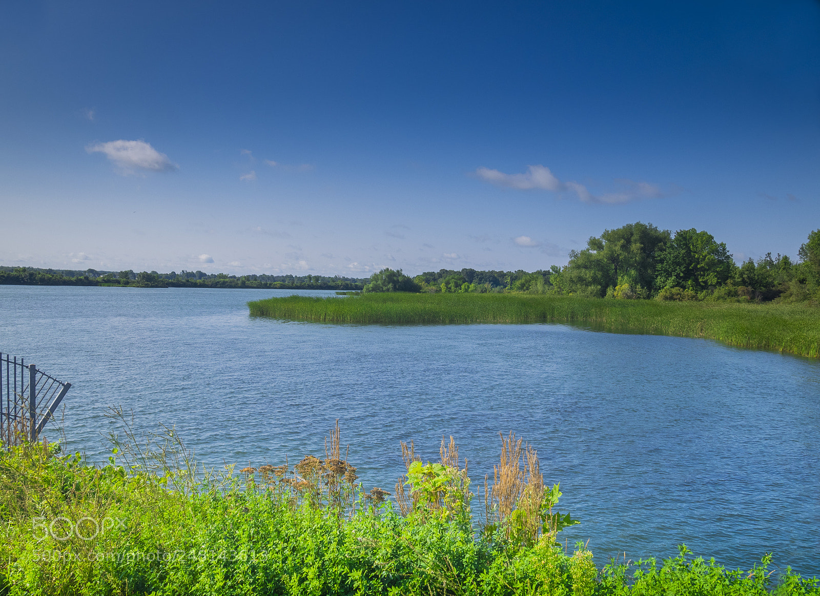 Olympus OM-D E-M1 sample photo. The river in the photography