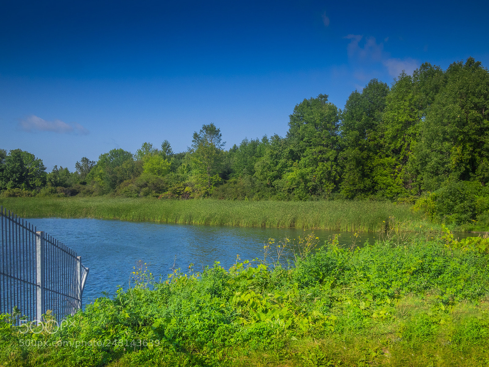 Olympus OM-D E-M1 sample photo. The river in the photography