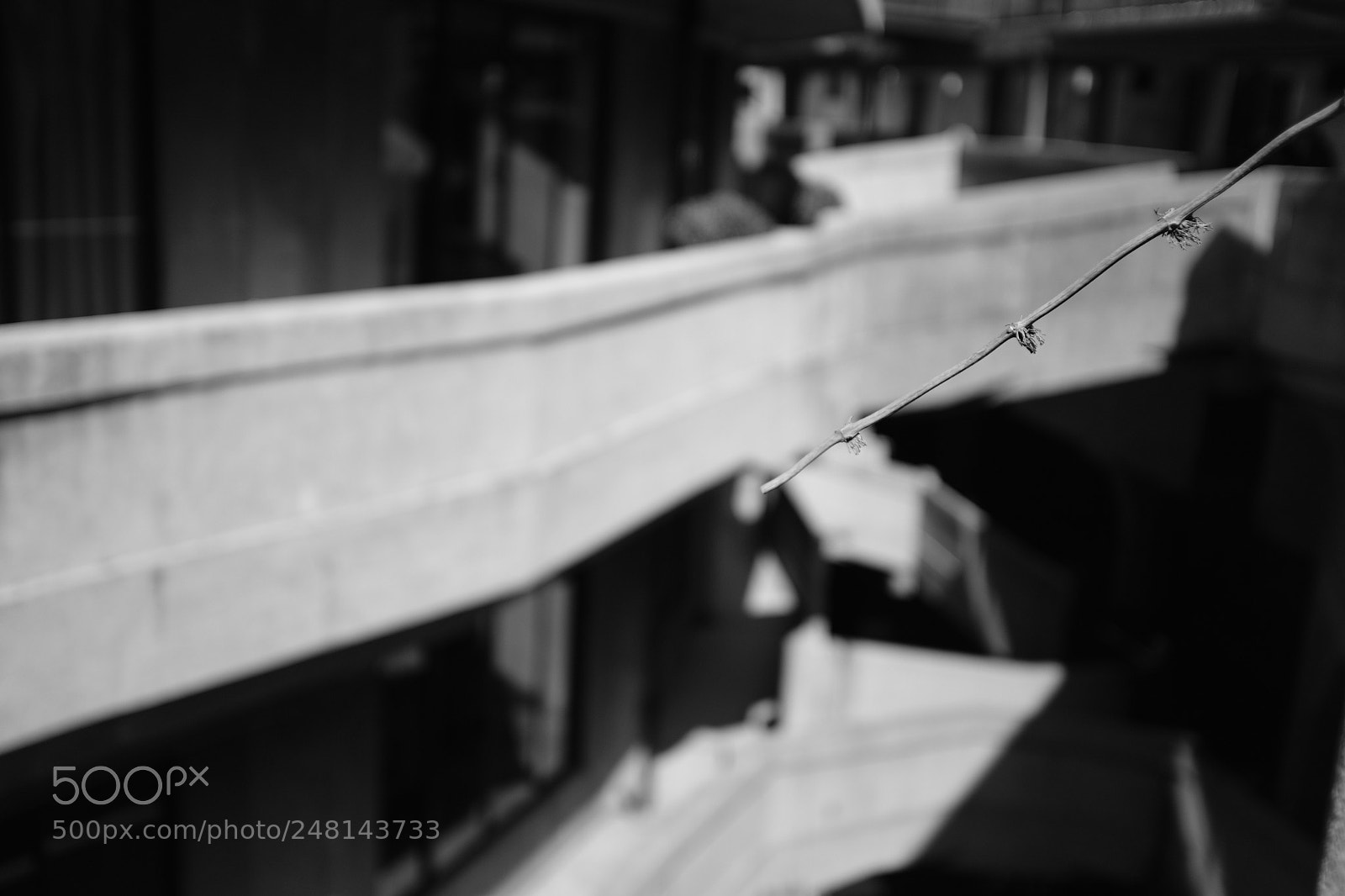 Fujifilm X100F sample photo. Untitled photography