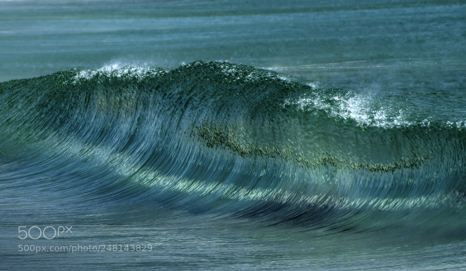 Nikon D810 sample photo. Curves and contours photography