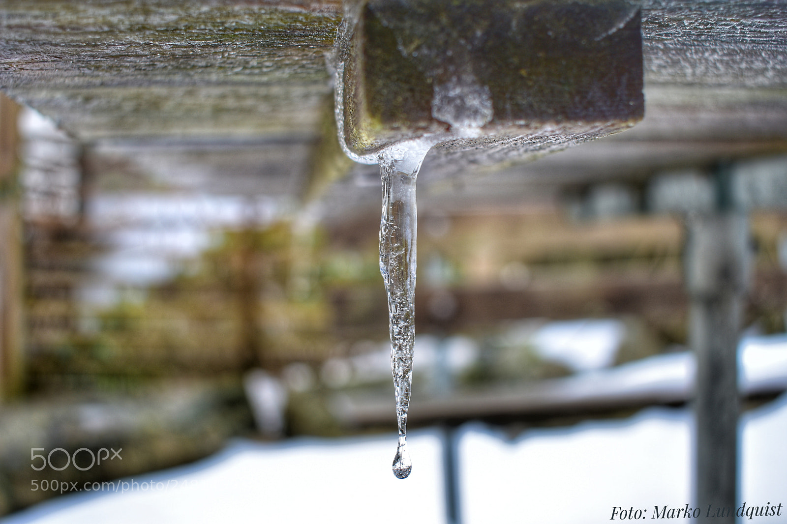 Nikon D3400 sample photo. Untitled photography