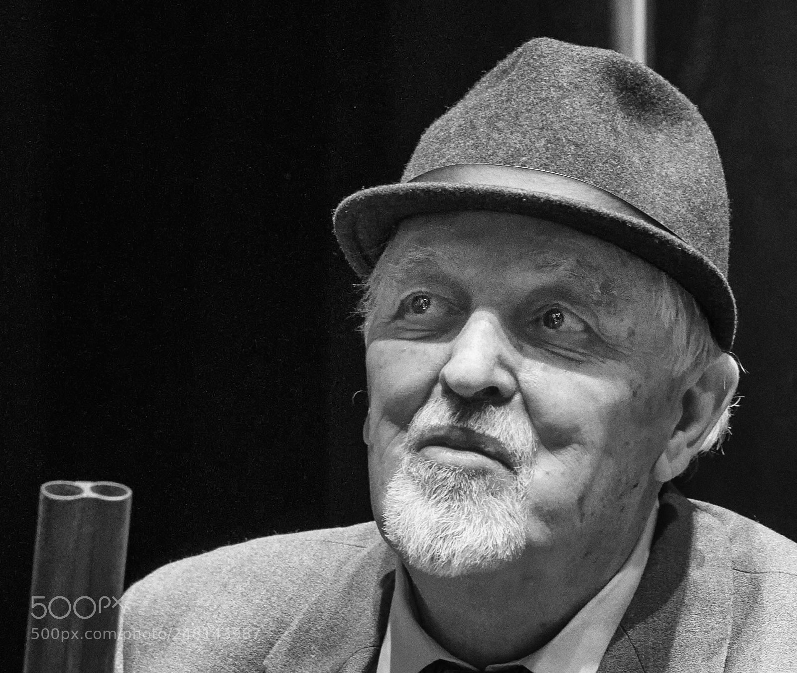 Nikon D90 sample photo. The actor photography