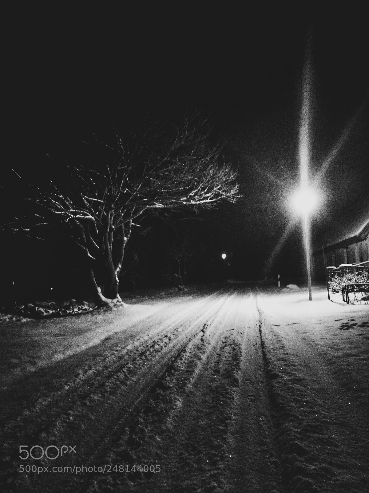 HUAWEI P9 sample photo. Untitled photography
