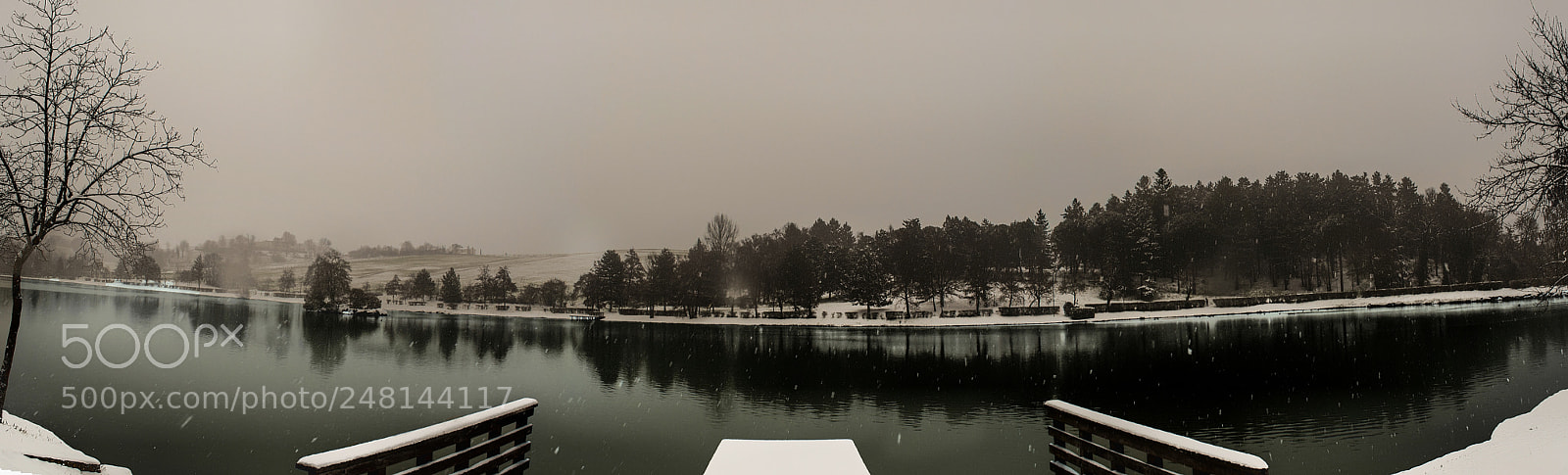 Nikon D5000 sample photo. Untitled photography