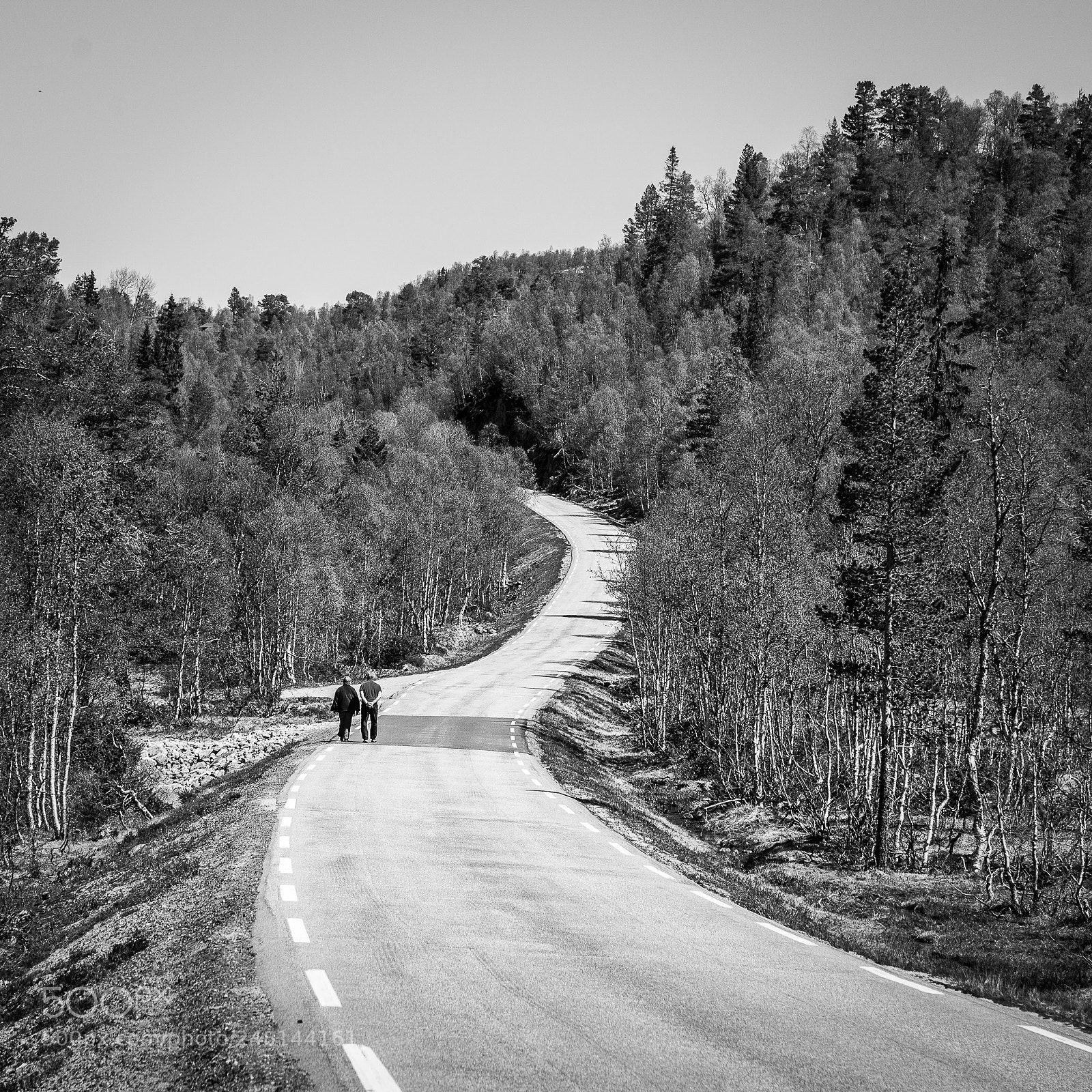 Nikon D610 sample photo. Together photography